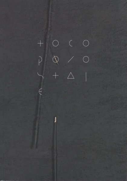 Na czarnym tle widnieje element przypominający ułamany patyk oraz biały tytuł publikacji