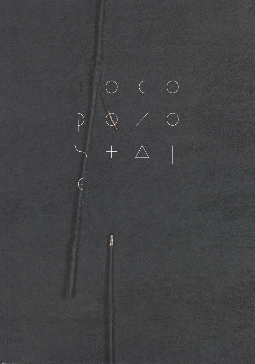 Na czarnym tle widnieje element przypominający ułamany patyk oraz biały tytuł publikacji