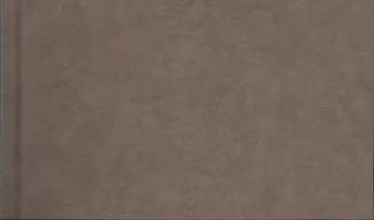 Szaro-brązowa okładka bez żadnych znaków szczególnych