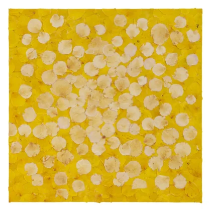 Praca składa się płatków róży w dwóch odcieniach żółci