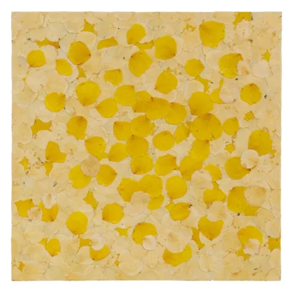 Praca składa się płatków róży w dwóch odcieniach żółci